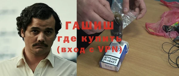 хмурый Алексин