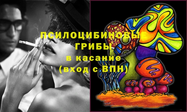 ГАЛЛЮЦИНОГЕННЫЕ ГРИБЫ Абинск