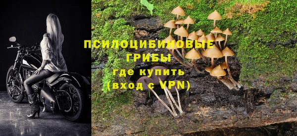 хмурый Алексин