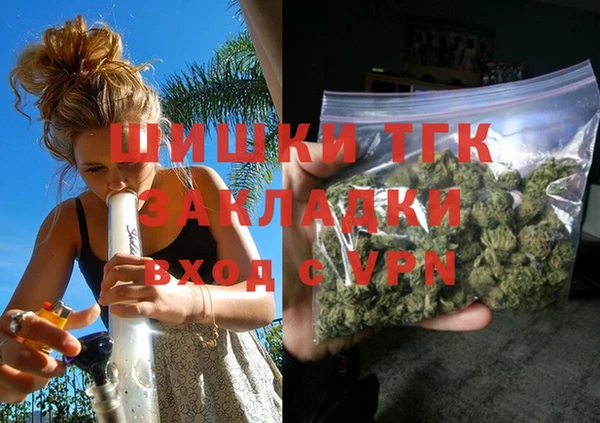 соль ск Алзамай