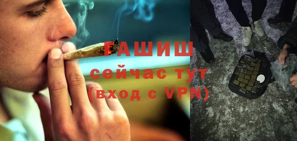 хмурый Алексин