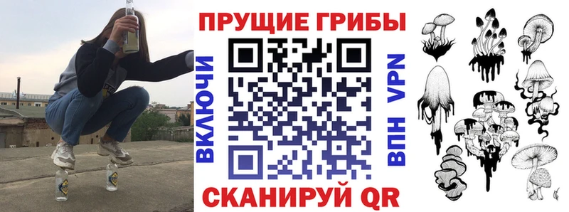 как найти   Чайковский  Галлюциногенные грибы GOLDEN TEACHER 